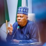 VP Kashim Shettima