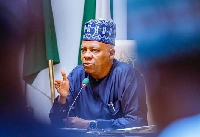 VP Kashim Shettima