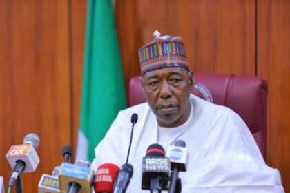 Borno State Governor, Babagana Zulum