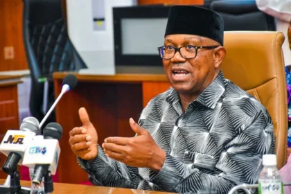 NDC presidential candidate Peter Obi