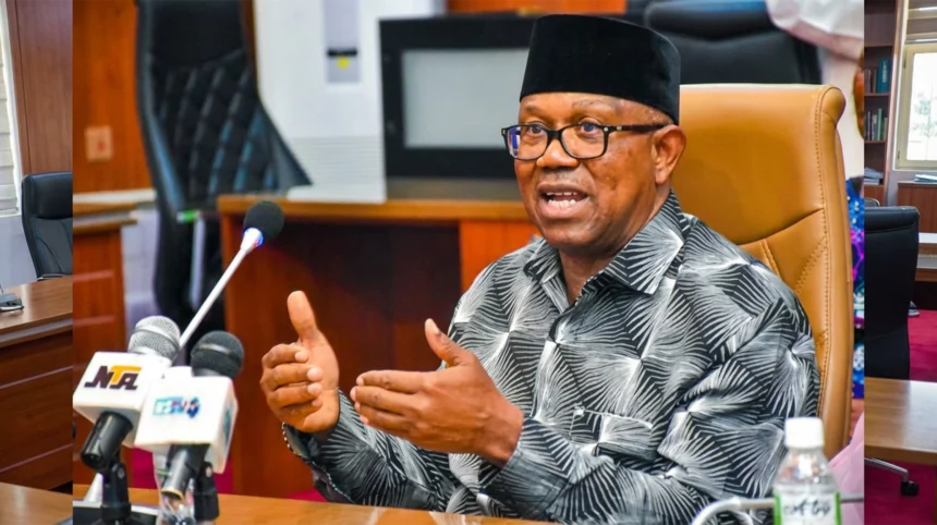 NDC presidential candidate Peter Obi