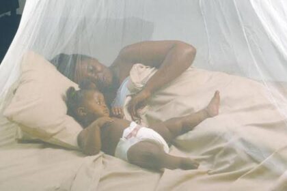 Mosquito nets