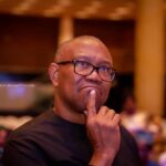 NDC Presidential candidate, Peter Obi
