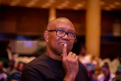 NDC Presidential candidate, Peter Obi