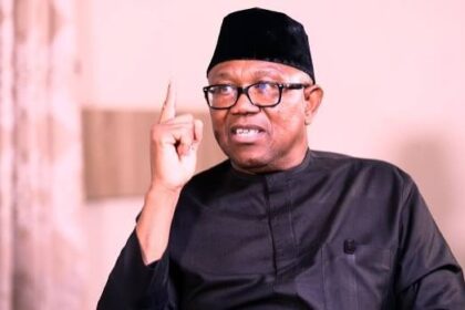 NDC Presidential candidate, Peter Obi