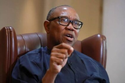 NDC Presidential candidate, Peter Obi