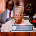 VP Kashim Shettima