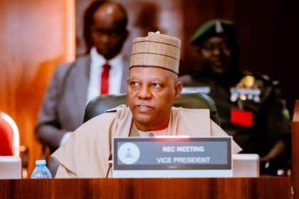 VP Kashim Shettima