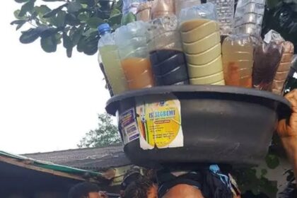 Agbo drink herbal concoctions